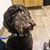 Julie Read Coleman's profile image