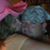 Johnny Gunn II's profile image