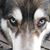 Vicki Kopriva's profile image