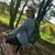 Arlene Lane Greene's profile image