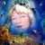 Robin SanVicente's profile image