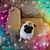 Cindy Black's profile image