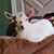 Pat Frock's profile image