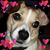 Stephanie Neuben Theis's profile image