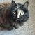 Karen Holloway's profile image