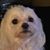 Diane Grissom Lowe's profile image