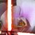 Shelly Prm's profile image
