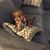 Celestine Arterberry Hudgins's profile image