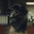 Richard Melson's profile image