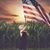 Cathy Sternberg Wixson's profile image