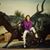 Michelle Hohn's profile image