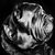 H Renee Kelley's profile image