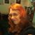 Sherrie Ausherman's profile image