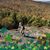 Mary Ann Pelletier's profile image