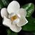 Kathy Pearson's profile image