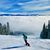 Shana Levin-Cox's profile image