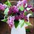Judi Bowman Delis's profile image