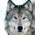 Hannah Kreuzer's profile image