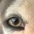 Efrain Martinez's profile image