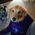 Kelly Hughes-Davis's profile image