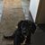 Kimberly Newell's profile image