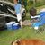 Howard Burchuk's profile image