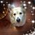 Audrey Hartshorn's profile image