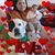 Alexandra Guerra's profile image