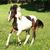 Christine Muether's profile image