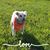 Jessica Reese-Braskett's profile image