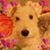 Sandy Sullivan's profile image