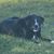 Helen A Caldwell Gillespie's profile image