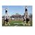 Pam DC Crist's profile image