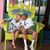 Diane Messick's profile image