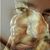 James Vincent's profile image