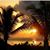 Diane Williams's profile image