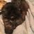 Tracy Smith-Jackson's profile image