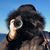 D.G. Brown's profile image
