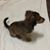 Sondra Osborn's profile image