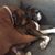 Laurie Berzai Davis Owens's profile image