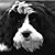 LaDessa Forrest's profile image