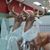 Jeanette Barsi Cooper's profile image