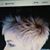 Marti J Scheppke's profile image