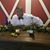 Melvin Dewayne Boyd's profile image
