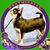 Leslie Riley's profile image