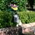 Sherri Salcido's profile image