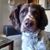 Dawn Wills's profile image