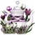Jo Flora's profile image