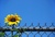 eileen w.'s profile image