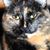 Gerri Farrar's profile image